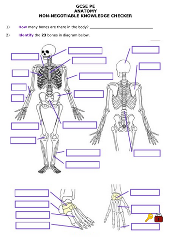 AQA GCSE PE Paper 1 Knowledge Checkers