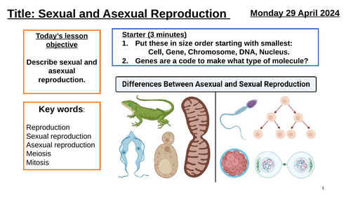 AQA GCSE Biology "Lesson 5 - Sexual Asexual Reproduction (Inheritance, Variation & Evolution Topic)