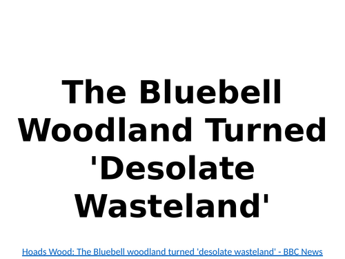 "The Bluebell Woodland Turned 'Desolate Wasteland'"