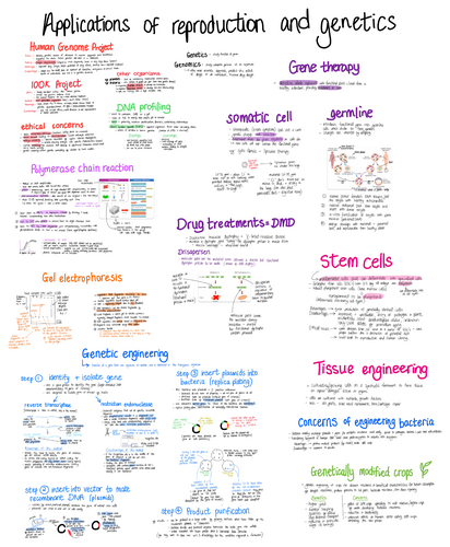 WJEC Biology - Application of genetics and reproduction