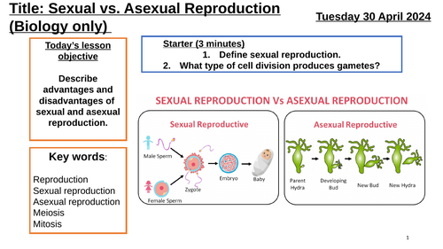 AQA GCSE Biology Lesson 6- Asexual Sexual Reproduction  BIO ONLY (Inheritance Variation & Evolution)