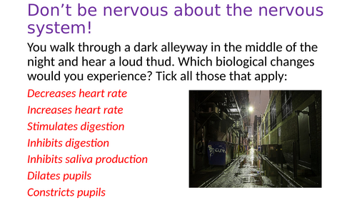 Biopsychology - The nervous system Paper 2 A-Level Psychology AQA