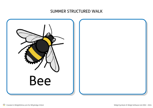 Summer structured walk