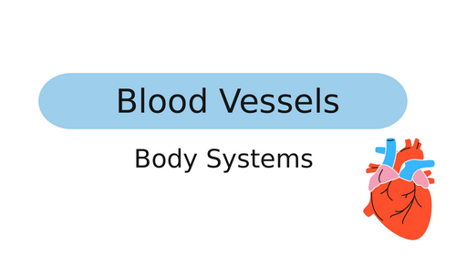 CfE BGE Body Systems - Circulatory System PowerPoints