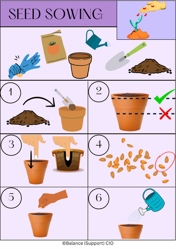 Seed Sowing Picture Guide | Teaching Resources