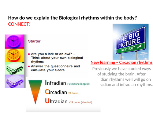 Biopsychology: Biological rhythms - circadian rhythms. A-Level Psychology - Paper 2