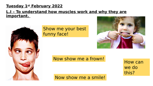 Animals including humans part 2