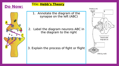 Hebb's Theory