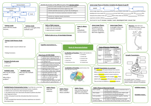 Knowledge Organiser/Revision - Brain and Neuropsychology