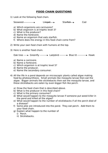 IGCSE Food chain worksheet