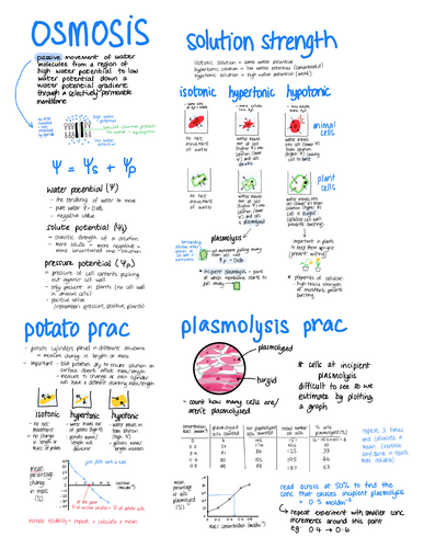 Biology Osmosis revision poster