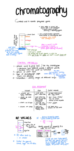 Biology Chromatography practical