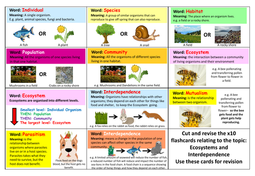 Science - Ecosystems and Interdependence Flashcards