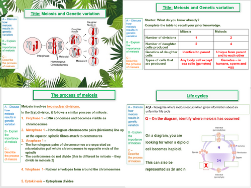 Meiosis and genetic variation- AQA A Level Biology (AS Level)- 9. Genetic Diversity
