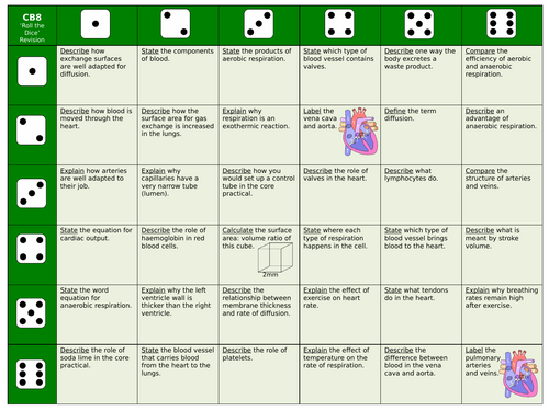 Edexcel CB8/SB8 Roll the Dice Revision