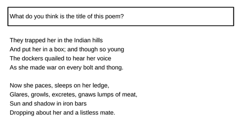 KS4, KS3, Unseen Poetry "The Tigress" Clifford Dyment