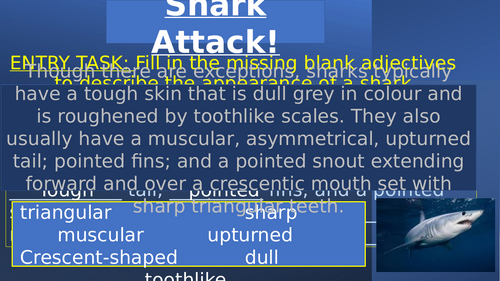 Descriptive Writing Shark attack
