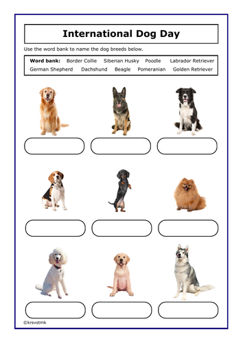 International Dog Day Worksheet + Answers Included