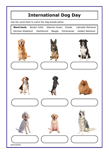 Dog Breeds + Answers Included