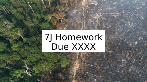 Deforestation Homework