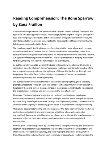 Reading Comprehension: The Bone Sparrow by Zana Fraillon