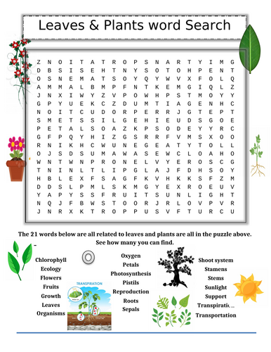 Leaves and Plants Word Search Puzzle
