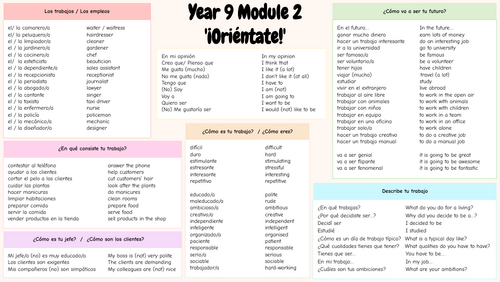 Viva 3 Module  2 Year 9 Knowledge Organizer (Oriéntate / Work and future plans)