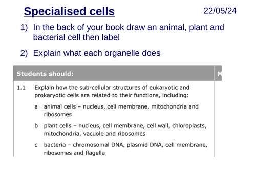 Specialised cells