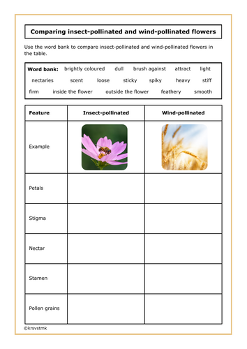Comparing insect-pollinated and wind-pollinated flowers + Answers