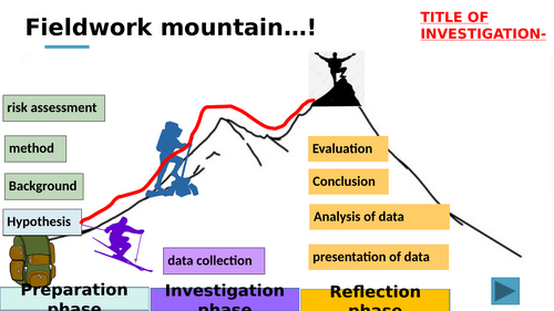 Fieldwork revision template