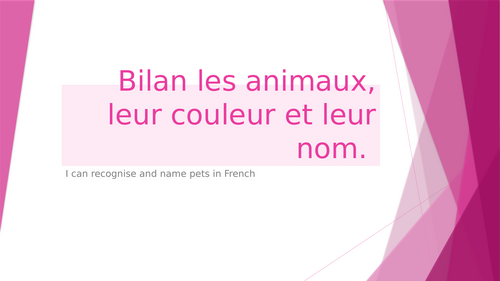 French  assessment on pets with listening task (pets, colour, name)  differentiated.