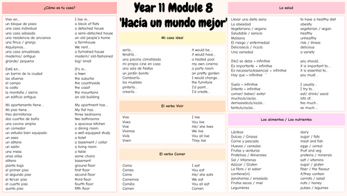 Viva! GCSE Module 8 Year 10/ 11 Knowledge Organizer (Hacia un mundo mejor/ Making a better world)