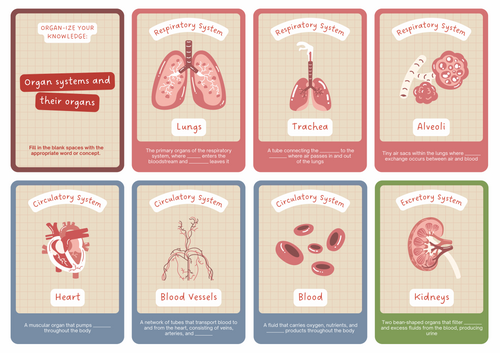 Anatomy learning cards