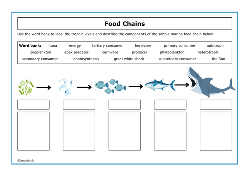 Food Chains + Answers Included