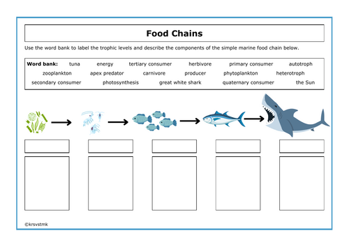 Trophic Levels and Food Chains + Answers Included