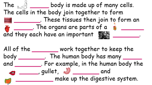 Word fill organs and systems topic KS3
