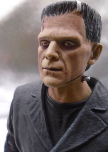 FRANKENSTEIN MODEL