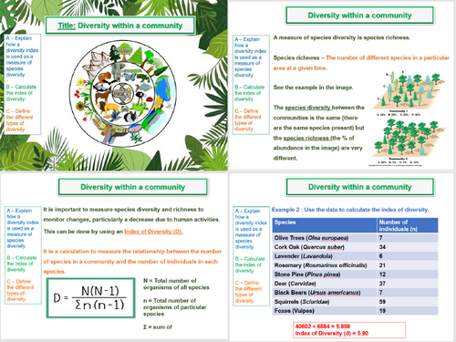 Diversity within a community- AQA A Level Biology (AS Level)- 10. Biodiversity