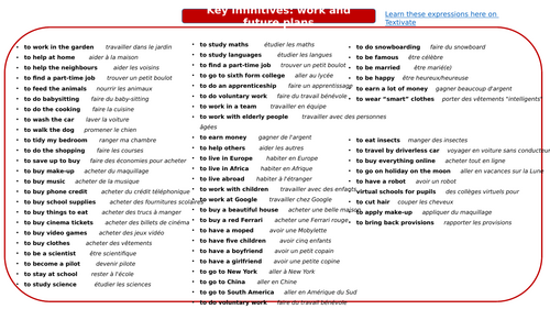 Dynamo 3 Rouge Module 2 Revision Knowledge organisers & translation practice