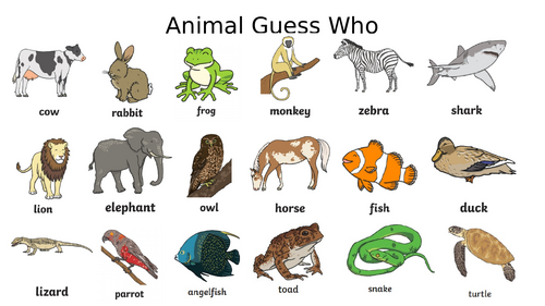 Year 1 Science Animals inc humans