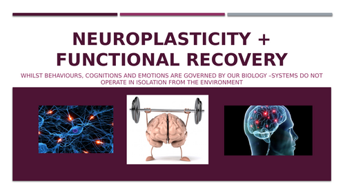 IB Neuroplasticity PPT