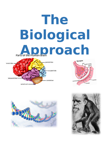 AQA A Level - Intro to concepts in the Biological Approach