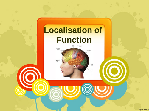 localisation of function case study