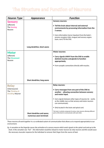 AQA A Level - Structure and Functions of Neurons