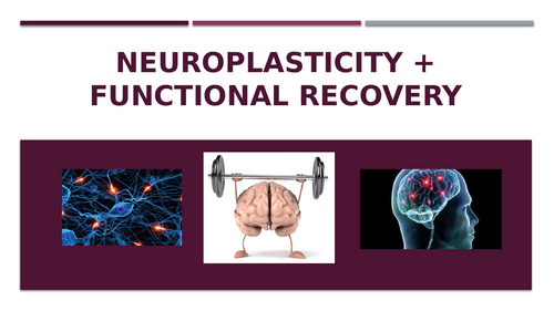 AQA A Level - Neuroplasticity + Functional Recovery