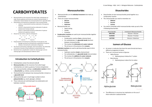 Carbohydrates Summary Sheet (AQA A-Level Biology)