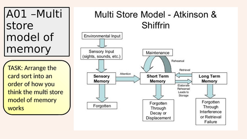 Edexcel GCSE 9 - 1 Psychology - Memory - Atkinson and Shiffrin Multi Store Memory Model