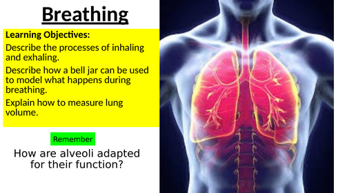 Year 8 Breathing