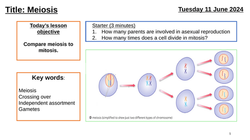 AQA GCSE Biology "Lesson 7 - Meiosis (Inheritance, Variation & Evolution Topic)