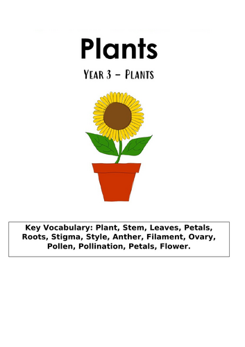 Parts of a Plant Year 3